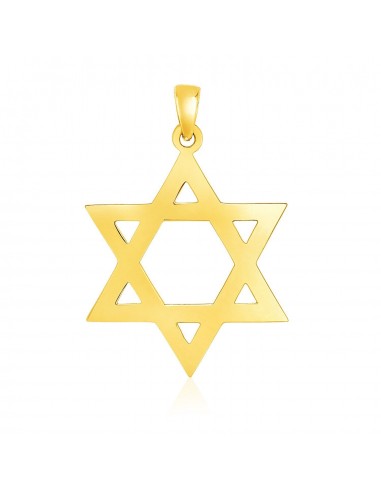 14k Yellow Gold Polished Star of David Pendant votre restaurant rapide dans 